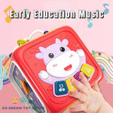 Activity Cube Box 6 in 1 For Toddlers - KidoKraze