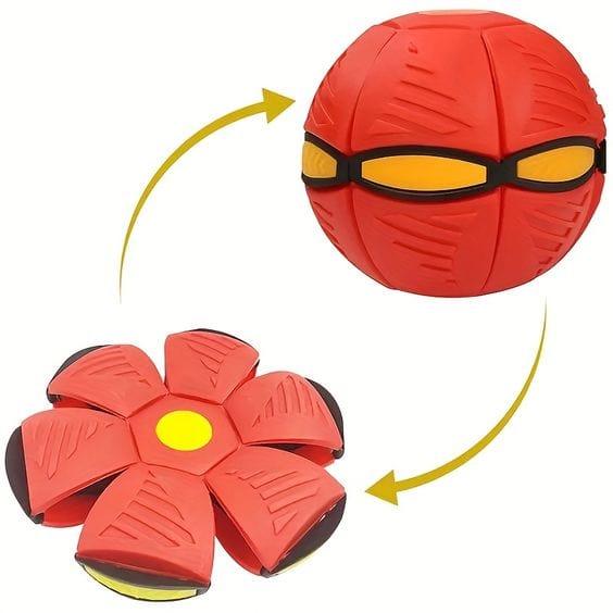 Throw Disc & Catch The Ball - KidoKraze