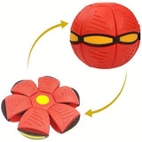 Throw Disc & Catch The Ball - KidoKraze