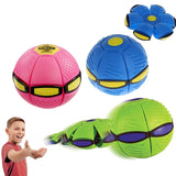 Throw Disc & Catch The Ball - KidoKraze